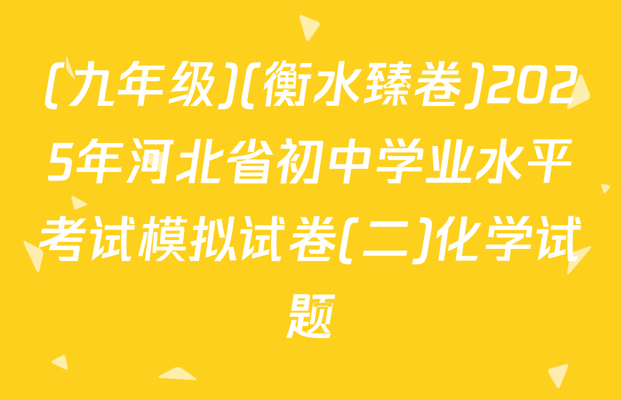(九年级)(衡水臻卷)2025年河北省初中学业水平考试模拟试卷(二)化学试题