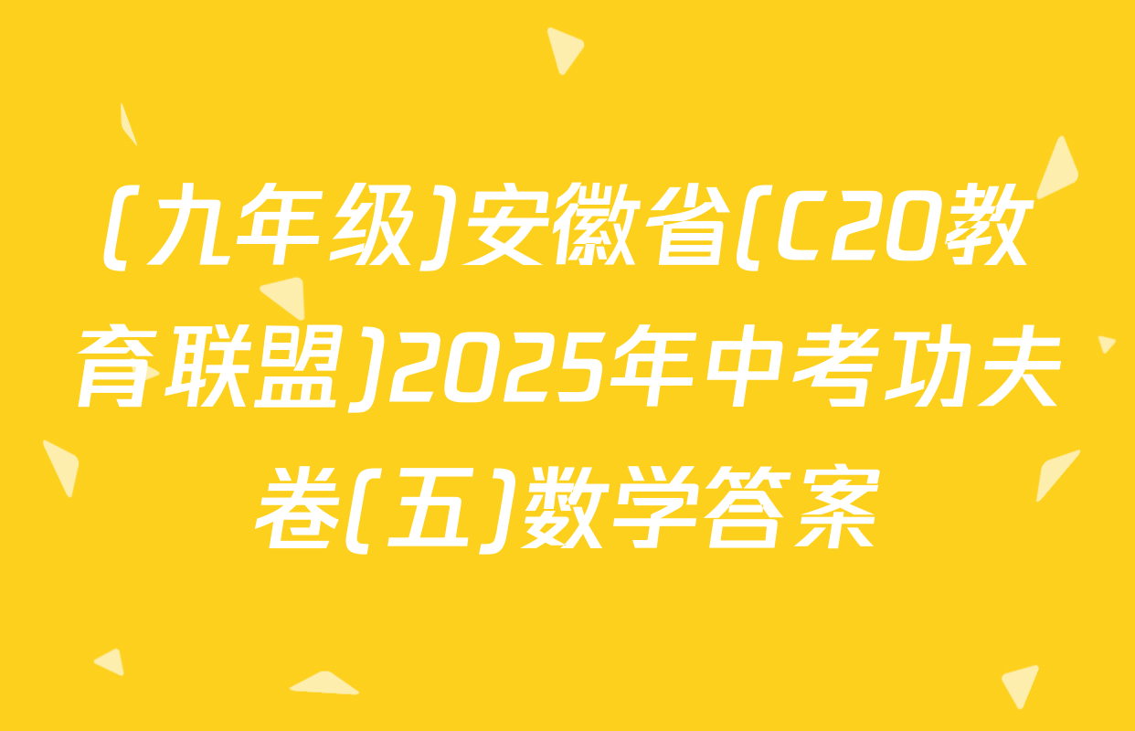 (九年级)安徽省(C20教育联盟)2025年中考功夫卷(五)数学答案