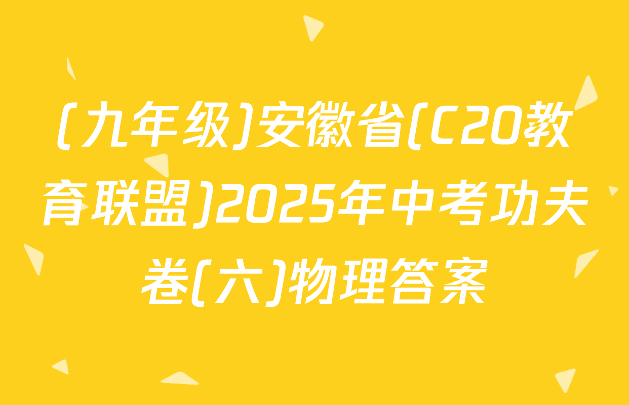 (九年级)安徽省(C20教育联盟)2025年中考功夫卷(六)物理答案