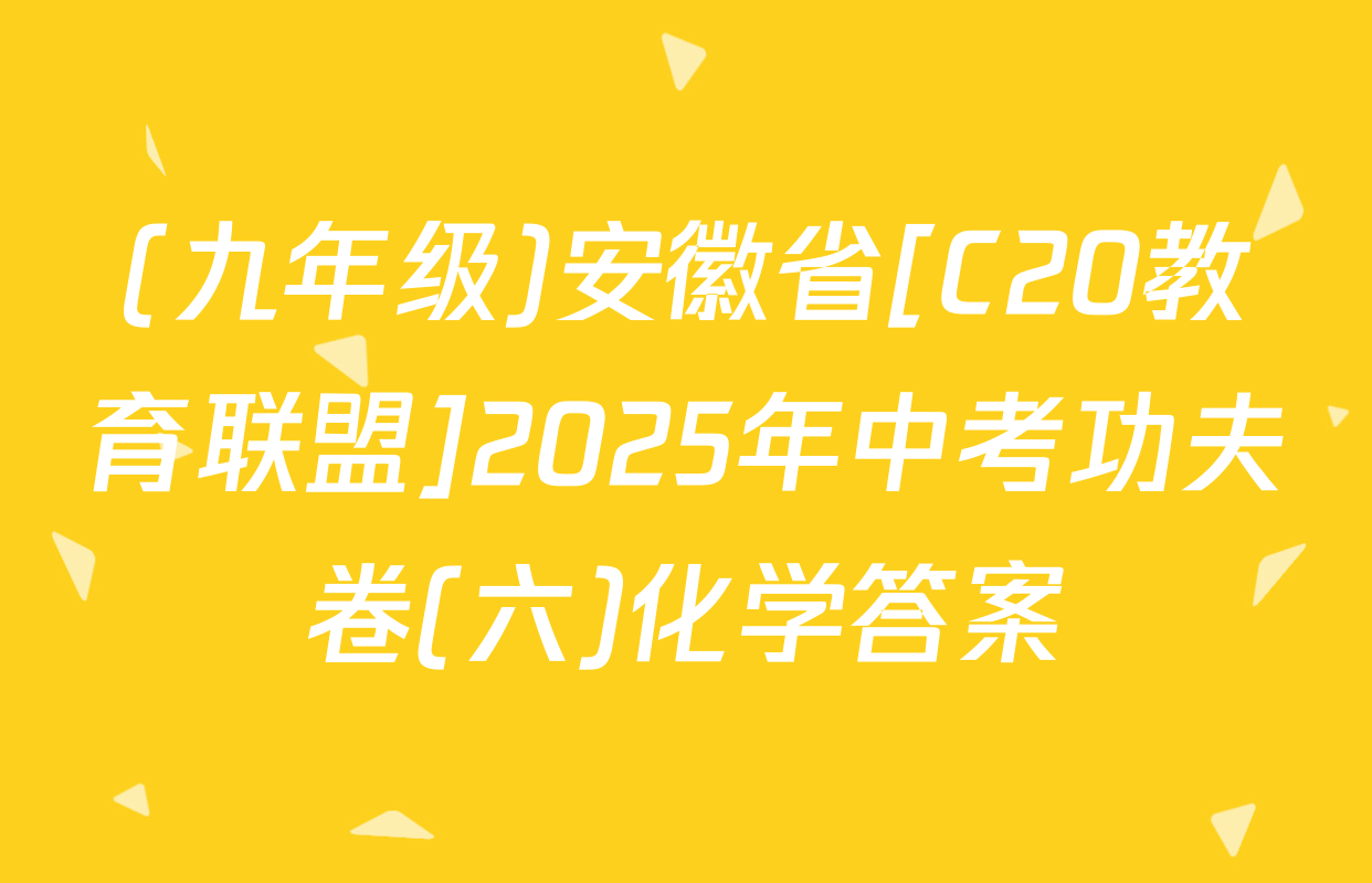 (九年级)安徽省[C20教育联盟]2025年中考功夫卷(六)化学答案