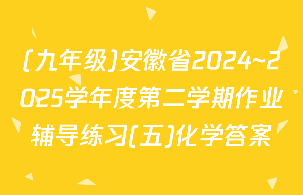 (九年级)安徽省2024~2025学年度第二学期作业辅导练习(五)化学答案