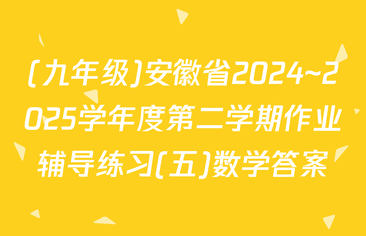 (九年级)安徽省2024~2025学年度第二学期作业辅导练习(五)数学答案