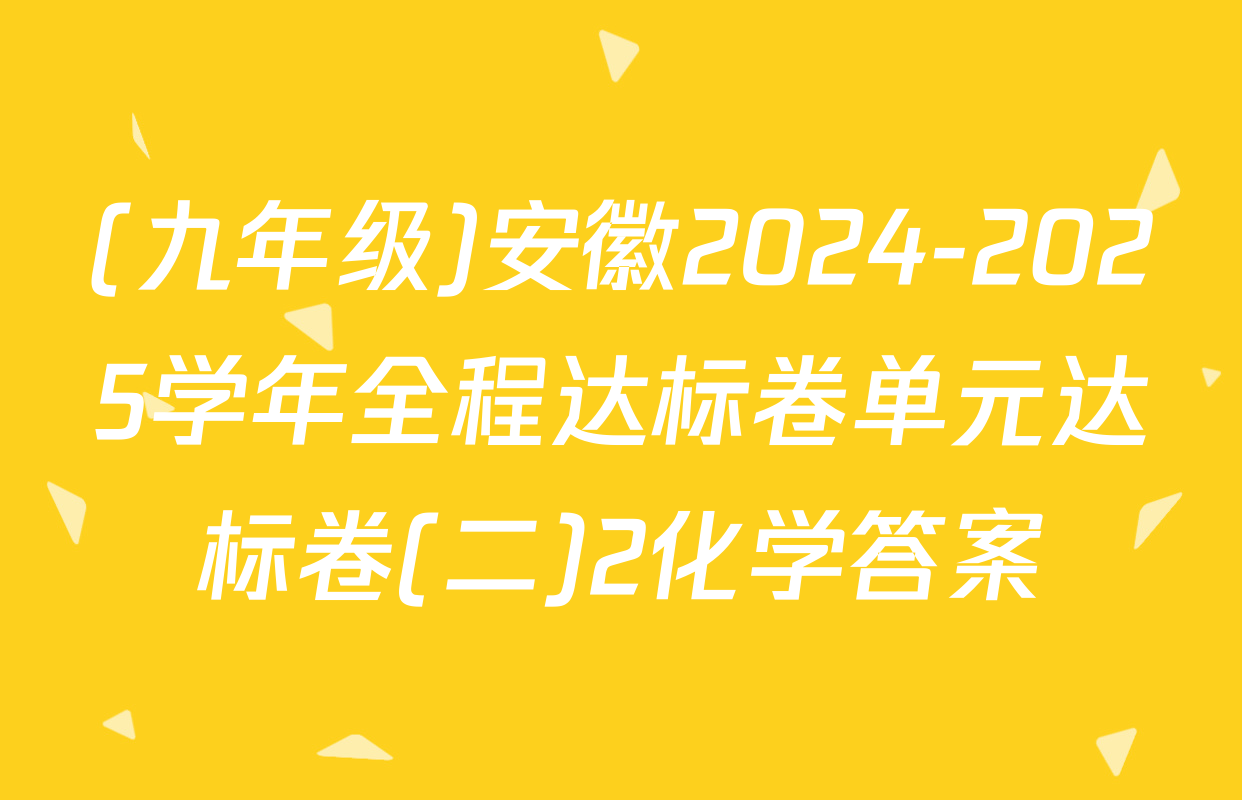 (九年级)安徽2024-2025学年全程达标卷单元达标卷(二)2化学答案