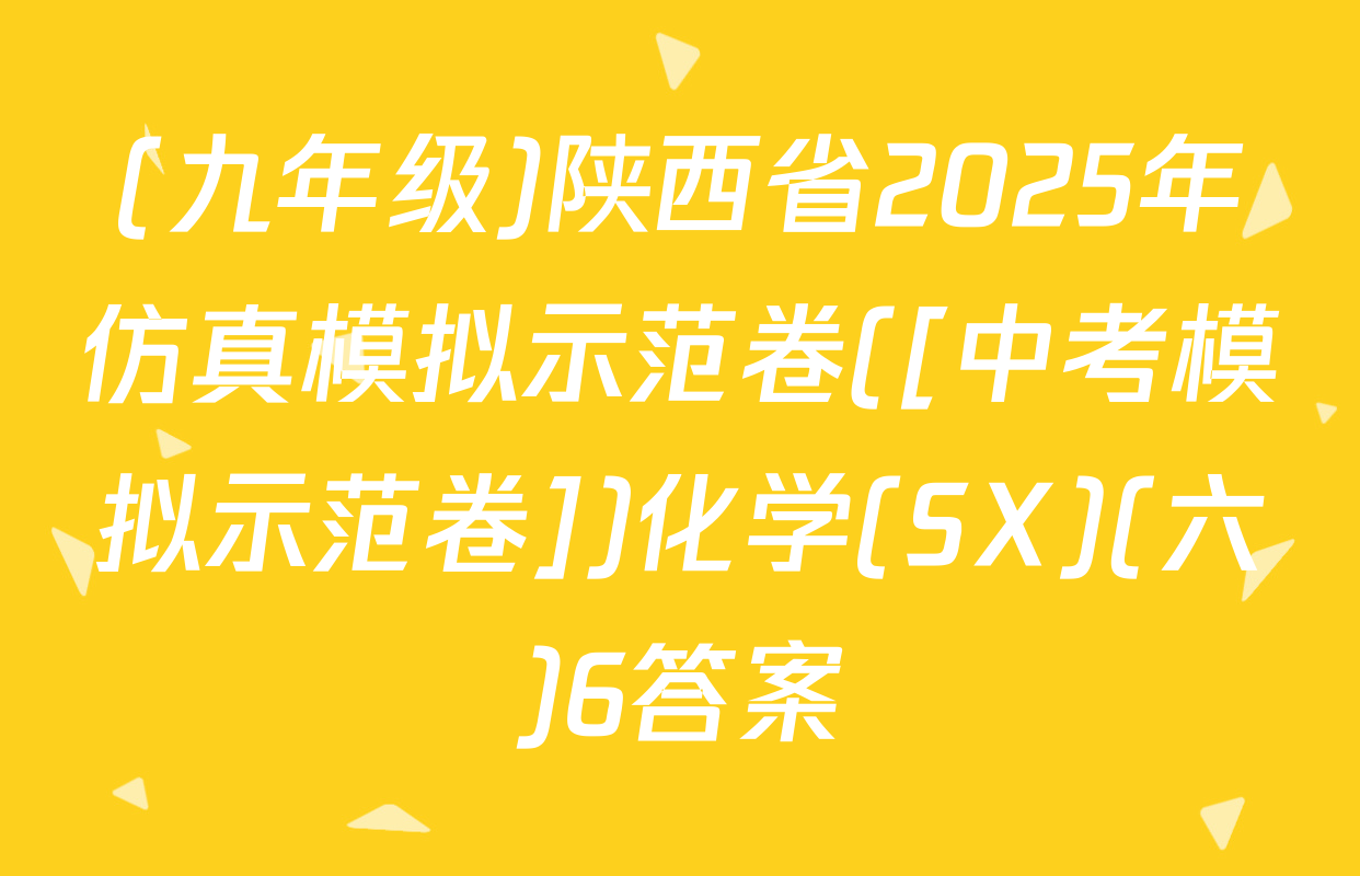 (九年级)陕西省2025年仿真模拟示范卷([中考模拟示范卷])化学(SX)(六)6答案