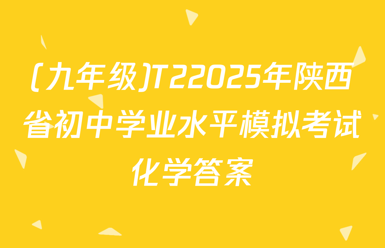 (九年级)T22025年陕西省初中学业水平模拟考试化学答案