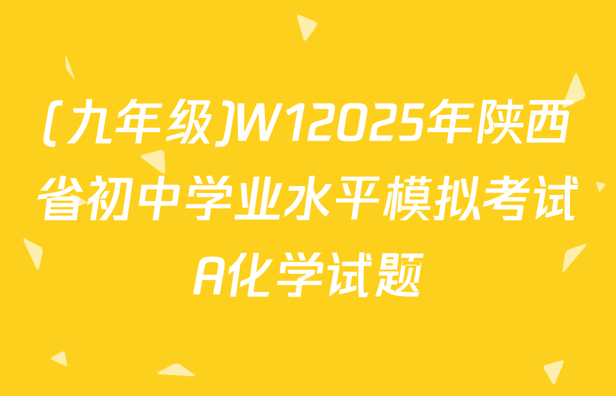 (九年级)W12025年陕西省初中学业水平模拟考试A化学试题
