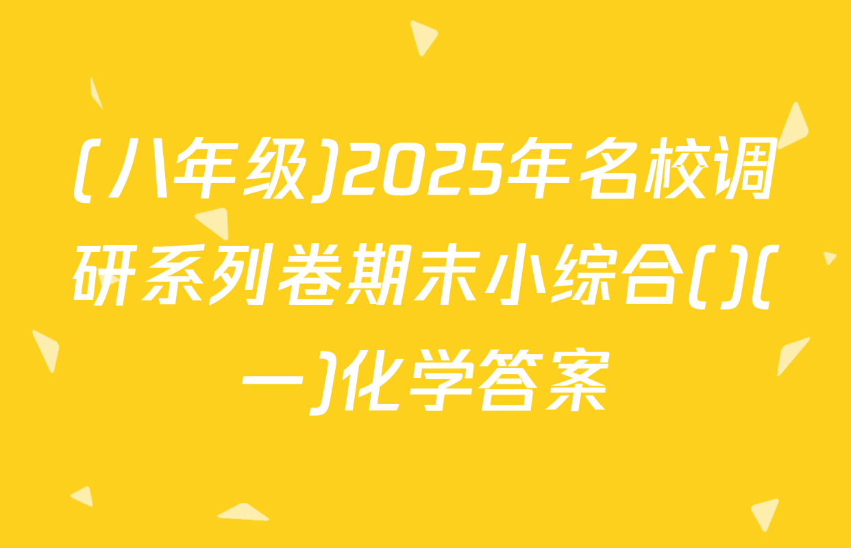 (八年级)2025年名校调研系列卷期末小综合()(一)化学答案