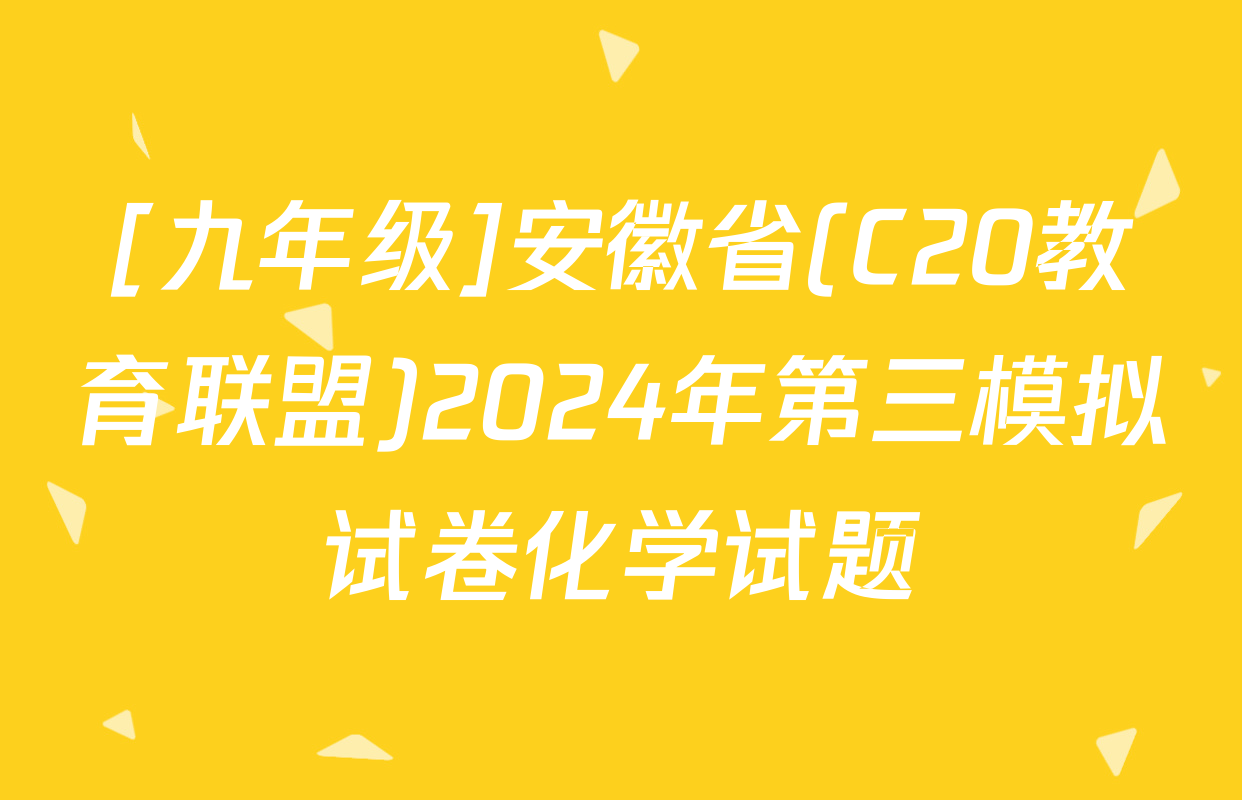 [九年级]安徽省(C20教育联盟)2024年第三模拟试卷化学试题