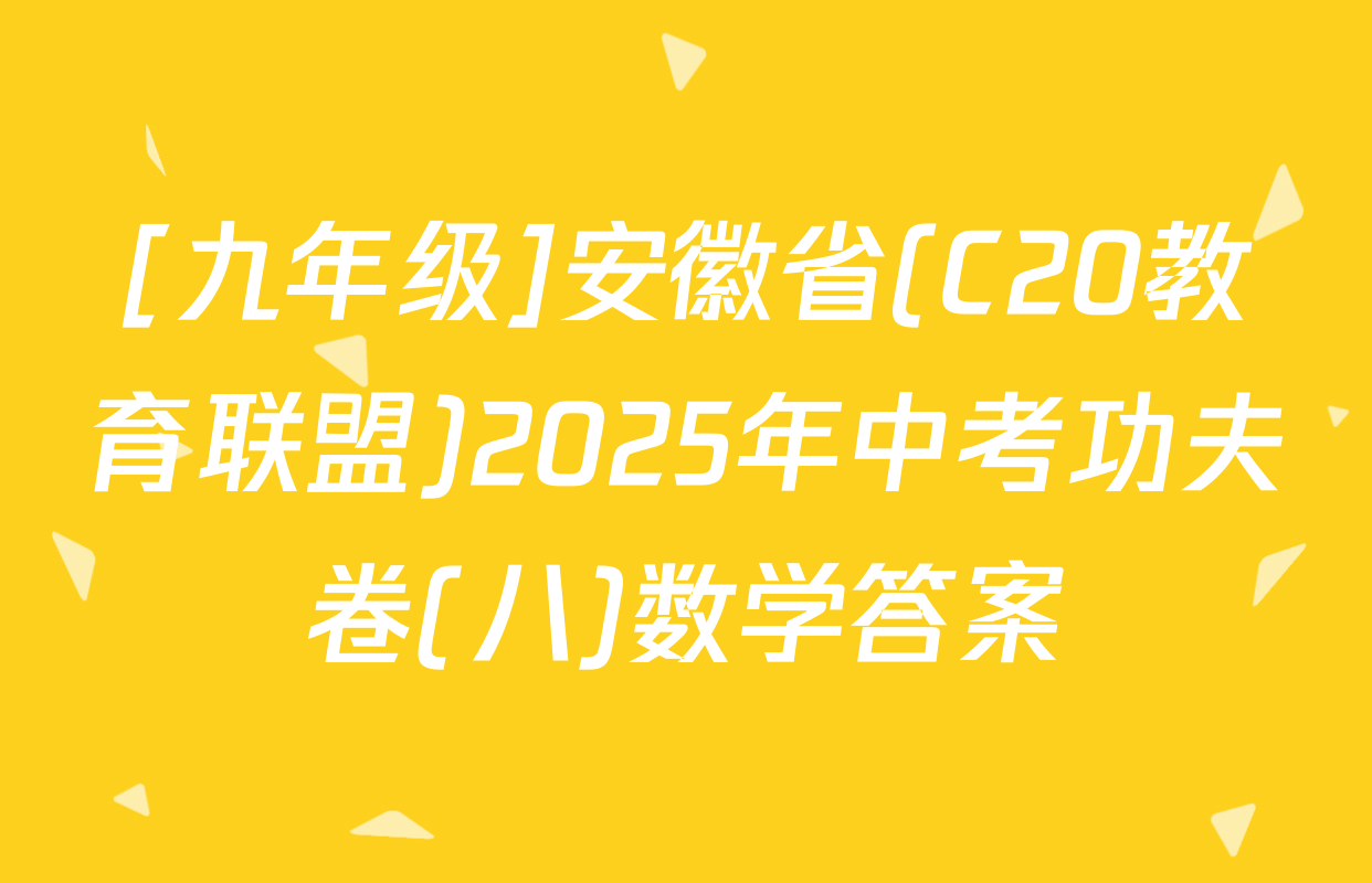 [九年级]安徽省(C20教育联盟)2025年中考功夫卷(八)数学答案