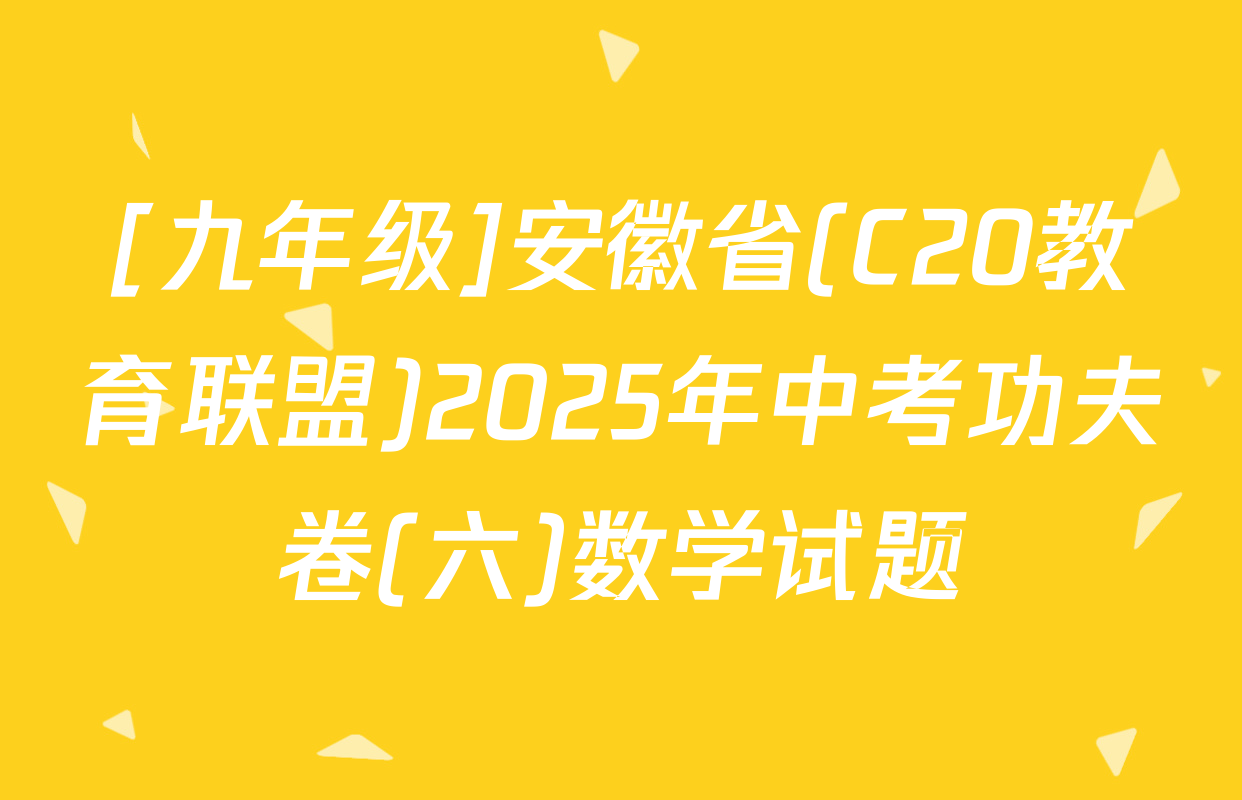 [九年级]安徽省(C20教育联盟)2025年中考功夫卷(六)数学试题
