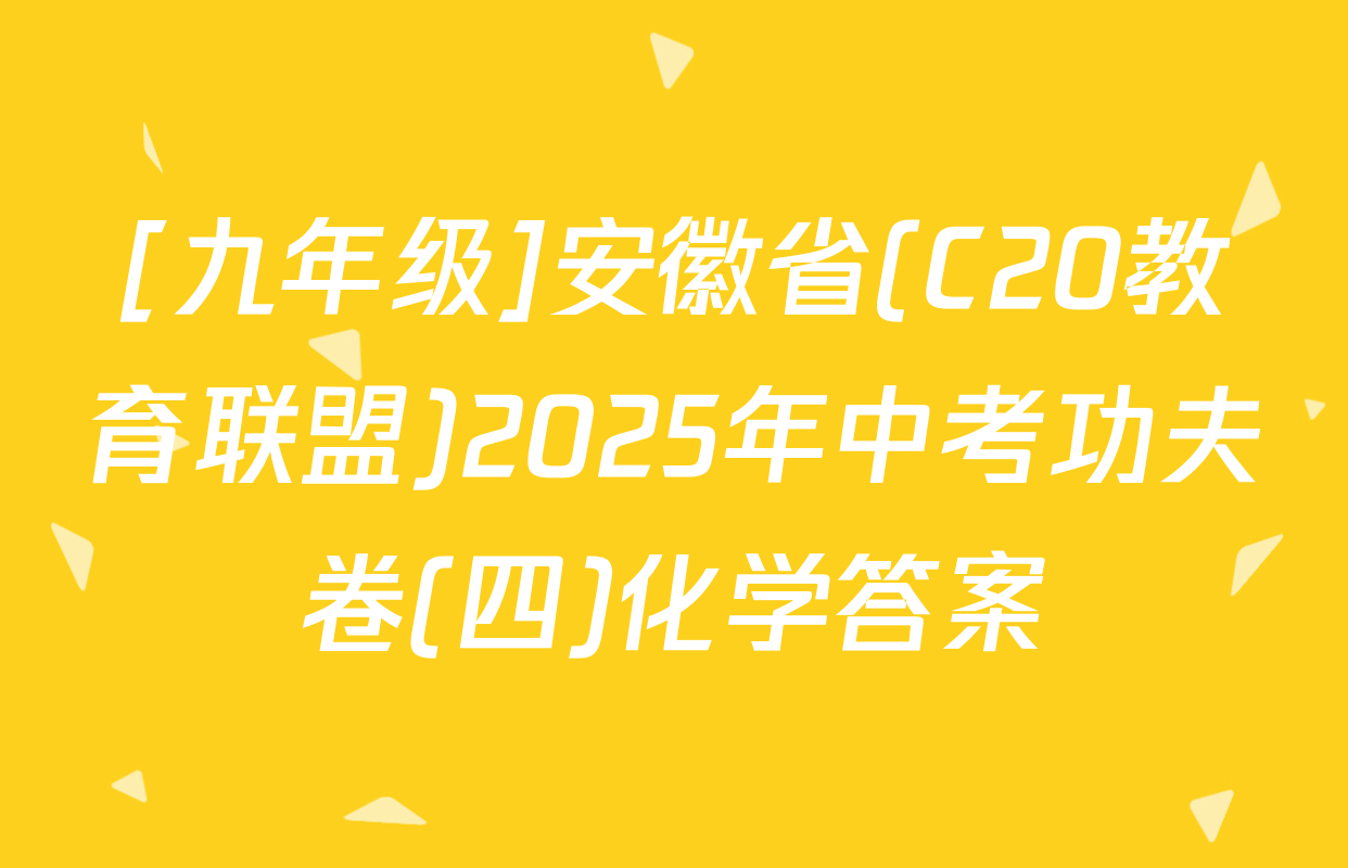 [九年级]安徽省(C20教育联盟)2025年中考功夫卷(四)化学答案