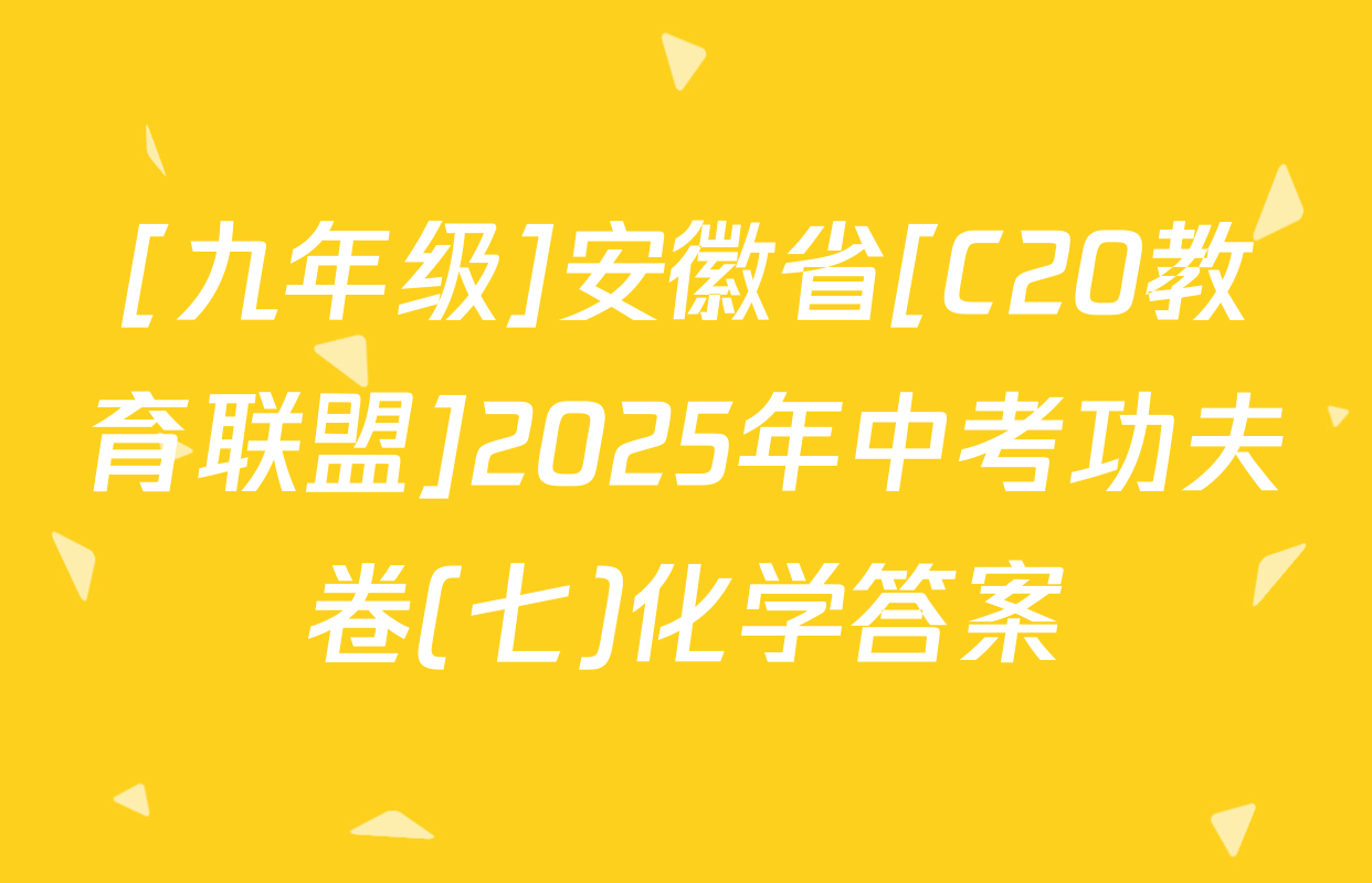 [九年级]安徽省[C20教育联盟]2025年中考功夫卷(七)化学答案