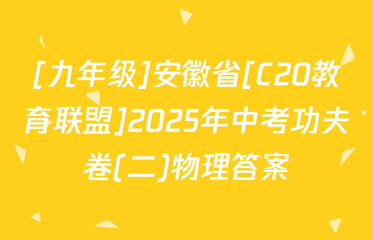 [九年级]安徽省[C20教育联盟]2025年中考功夫卷(二)物理答案