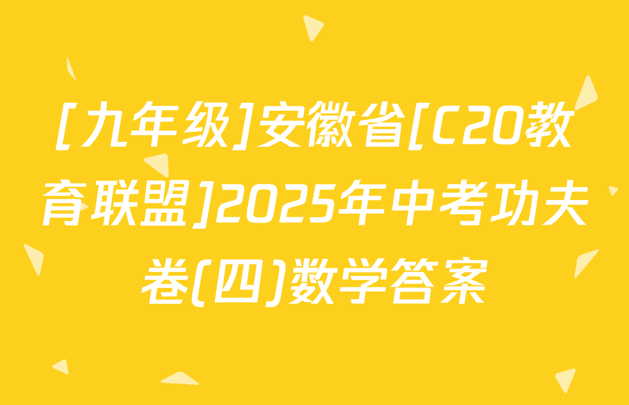 [九年级]安徽省[C20教育联盟]2025年中考功夫卷(四)数学答案