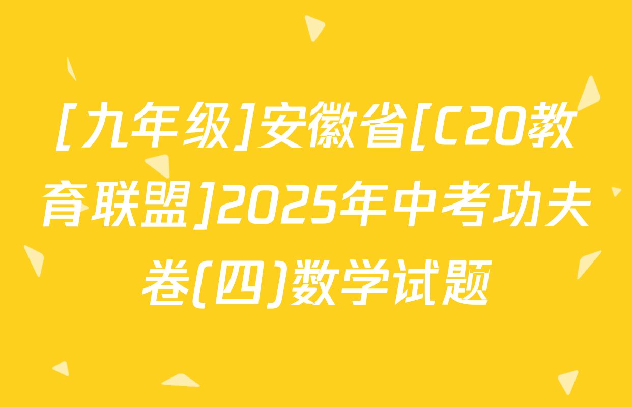 [九年级]安徽省[C20教育联盟]2025年中考功夫卷(四)数学试题