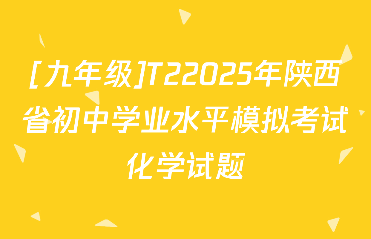[九年级]T22025年陕西省初中学业水平模拟考试化学试题