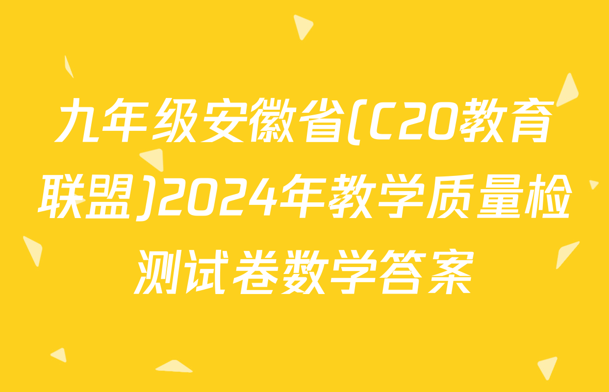 九年级安徽省(C20教育联盟)2024年教学质量检测试卷数学答案