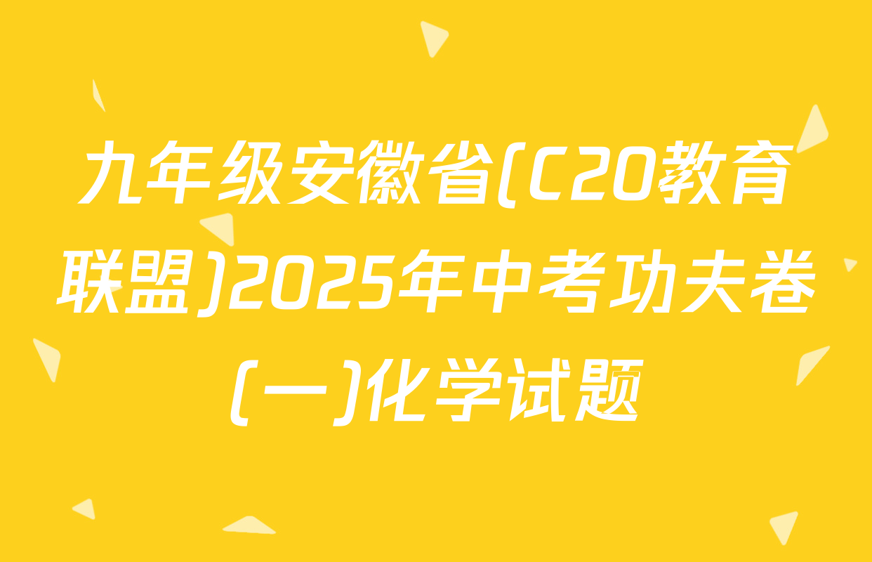 九年级安徽省(C20教育联盟)2025年中考功夫卷(一)化学试题