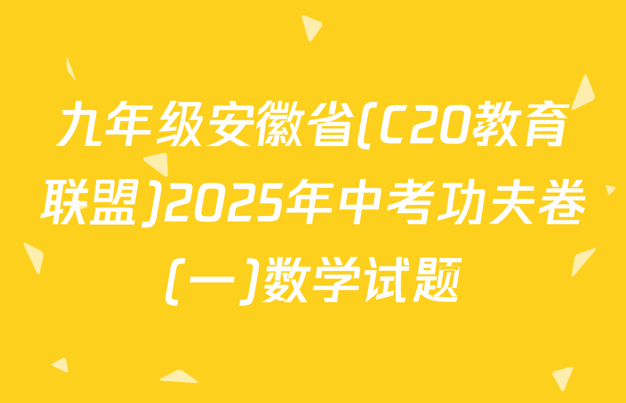 九年级安徽省(C20教育联盟)2025年中考功夫卷(一)数学试题