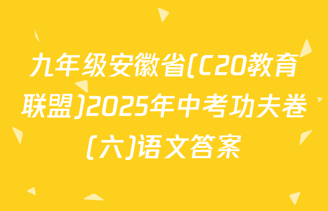 九年级安徽省(C20教育联盟)2025年中考功夫卷(六)语文答案