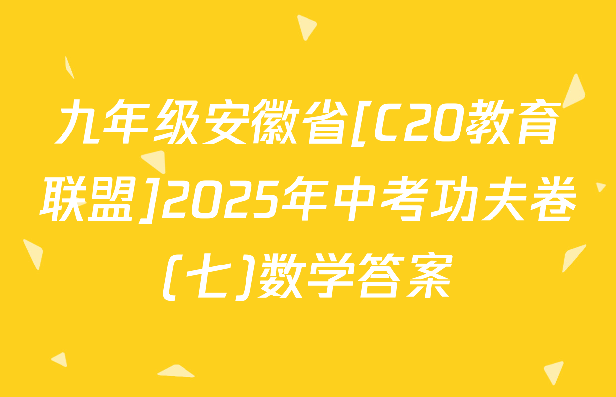 九年级安徽省[C20教育联盟]2025年中考功夫卷(七)数学答案