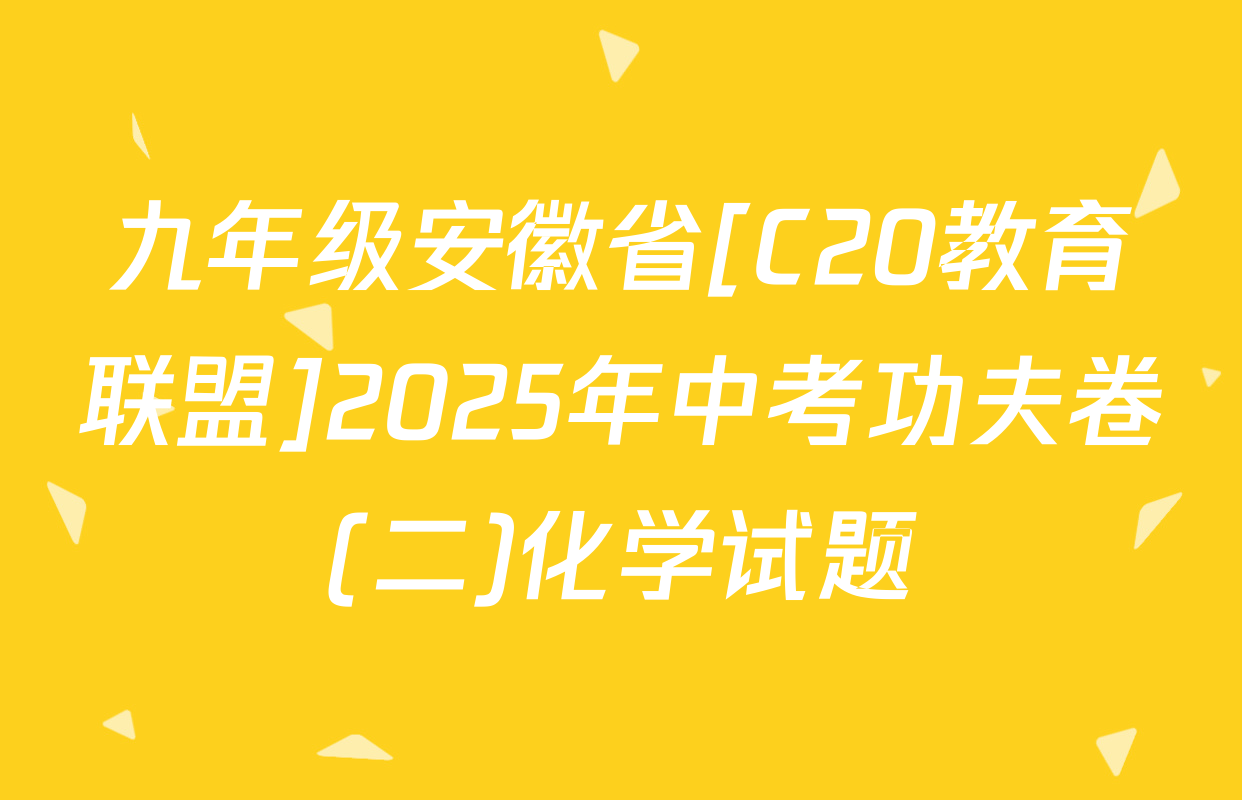 九年级安徽省[C20教育联盟]2025年中考功夫卷(二)化学试题