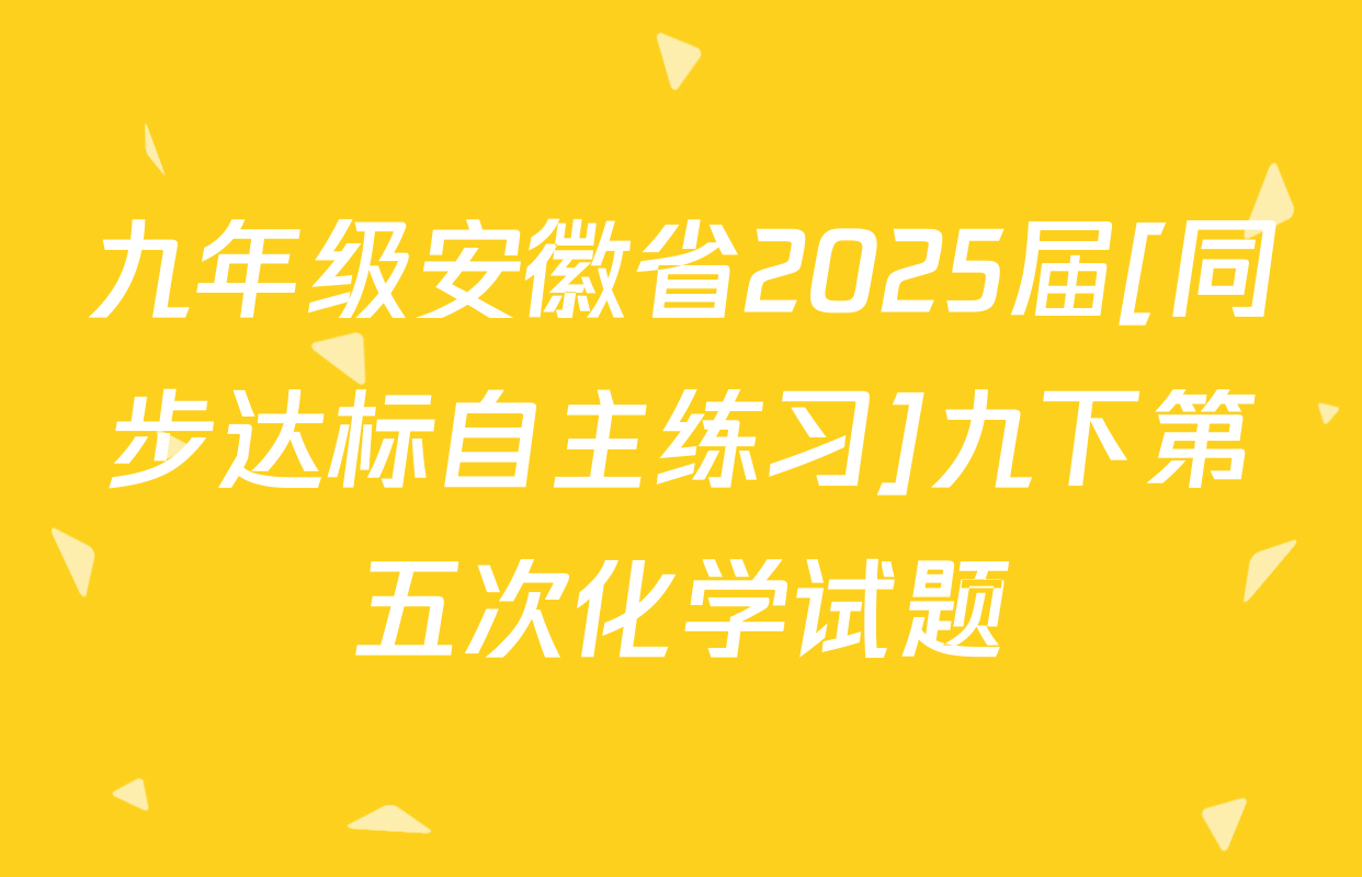 九年级安徽省2025届[同步达标自主练习]九下第五次化学试题