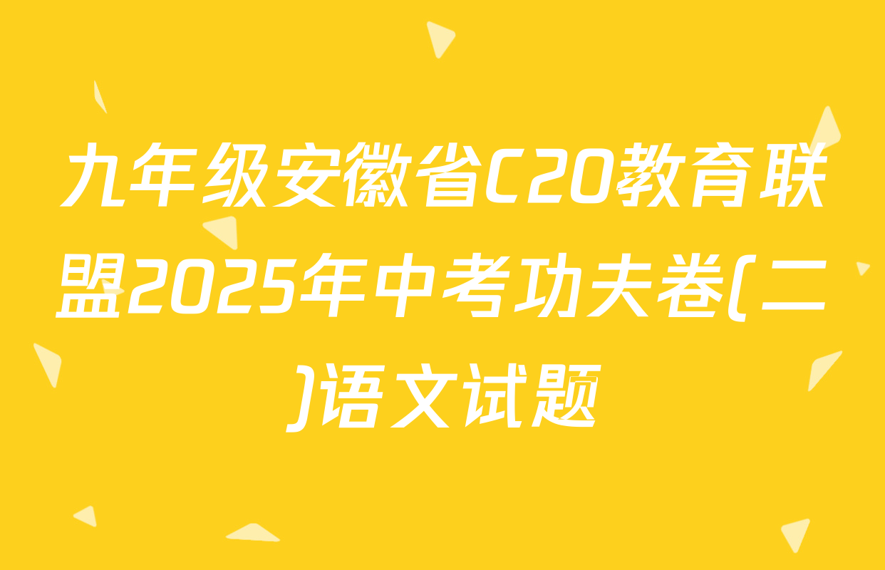 九年级安徽省C20教育联盟2025年中考功夫卷(二)语文试题