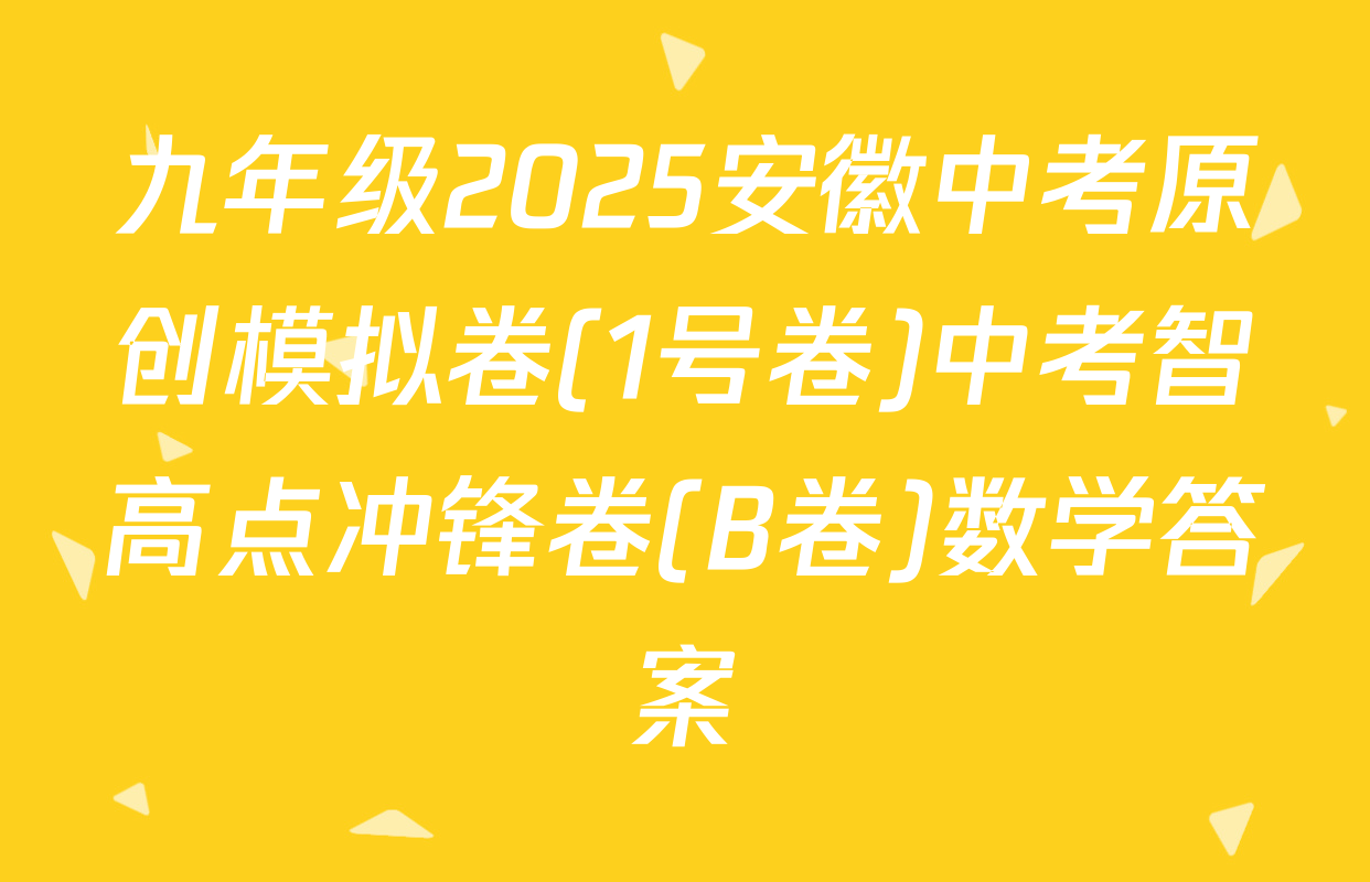 九年级2025安徽中考原创模拟卷(1号卷)中考智高点冲锋卷(B卷)数学答案