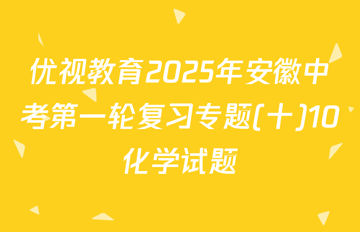 优视教育2025年安徽中考第一轮复习专题(十)10化学试题