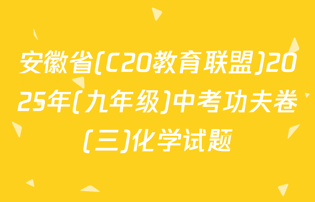 安徽省(C20教育联盟)2025年(九年级)中考功夫卷(三)化学试题
