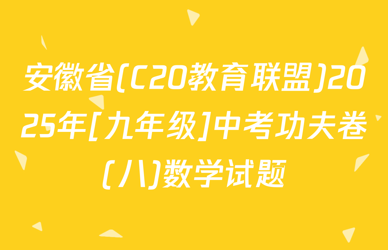 安徽省(C20教育联盟)2025年[九年级]中考功夫卷(八)数学试题