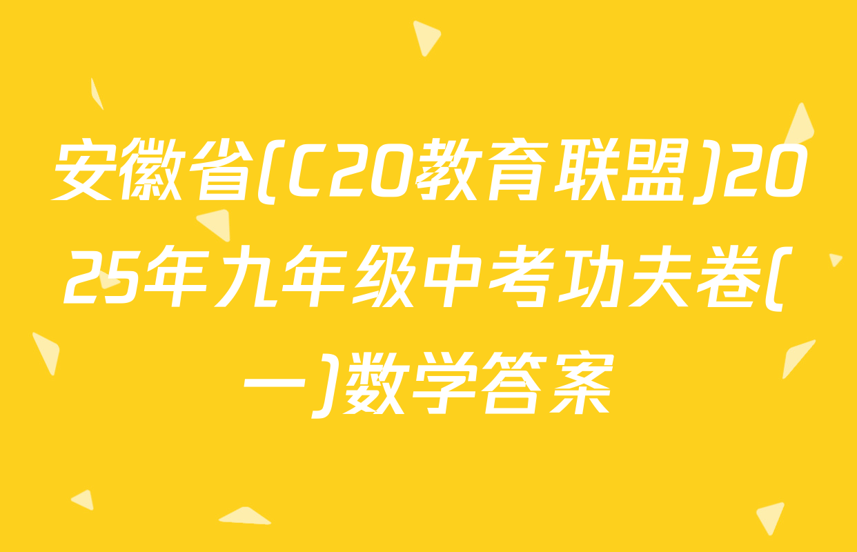安徽省(C20教育联盟)2025年九年级中考功夫卷(一)数学答案