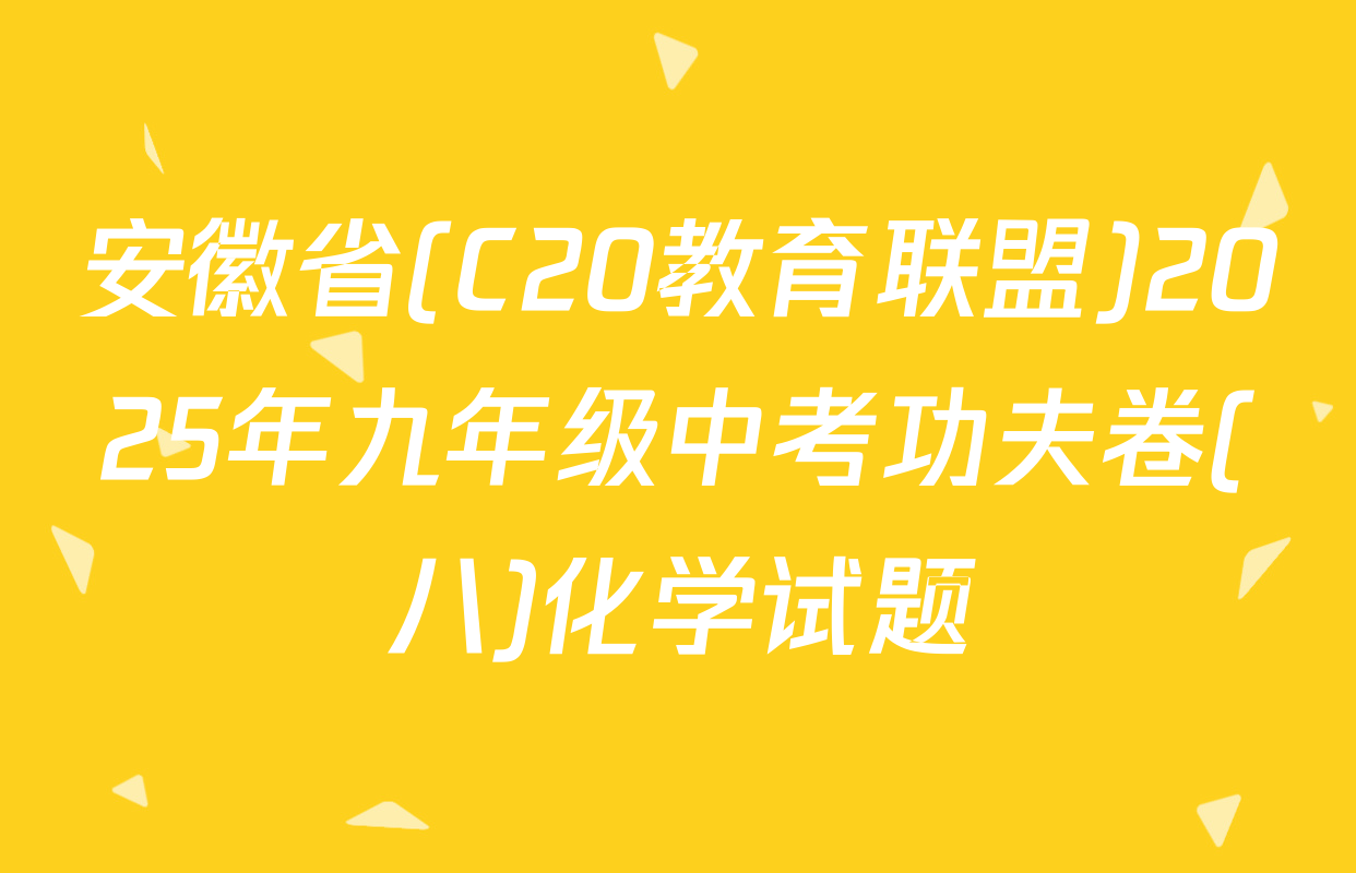 安徽省(C20教育联盟)2025年九年级中考功夫卷(八)化学试题