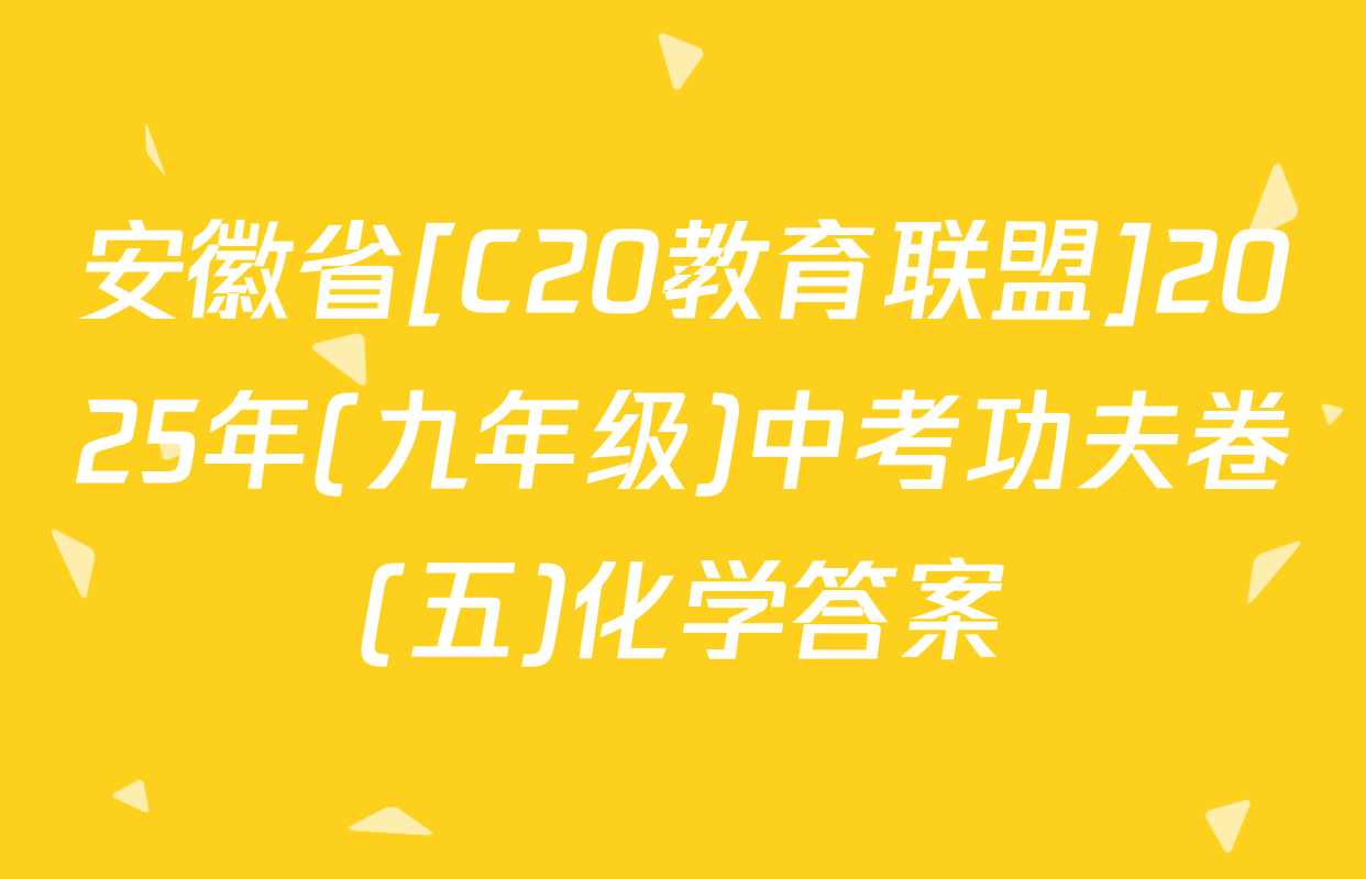 安徽省[C20教育联盟]2025年(九年级)中考功夫卷(五)化学答案
