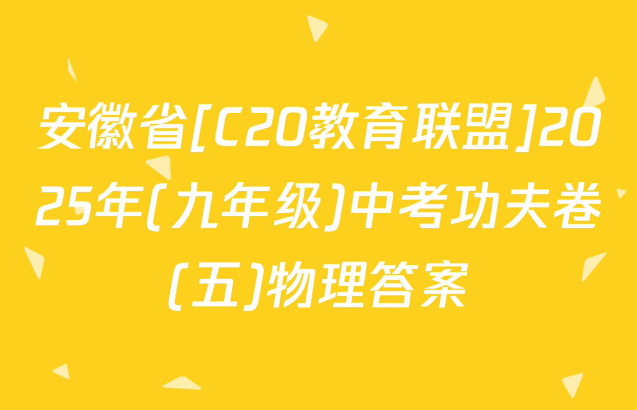 安徽省[C20教育联盟]2025年(九年级)中考功夫卷(五)物理答案