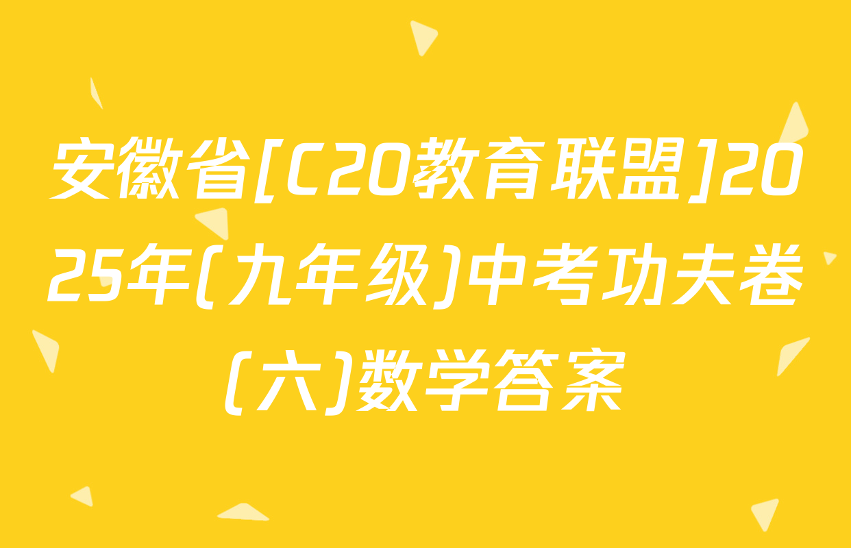 安徽省[C20教育联盟]2025年(九年级)中考功夫卷(六)数学答案