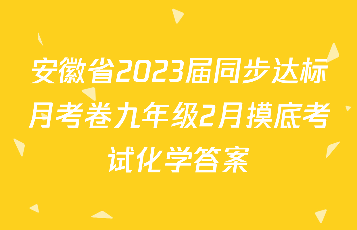 安徽省2023届同步达标月考卷九年级2月摸底考试化学答案