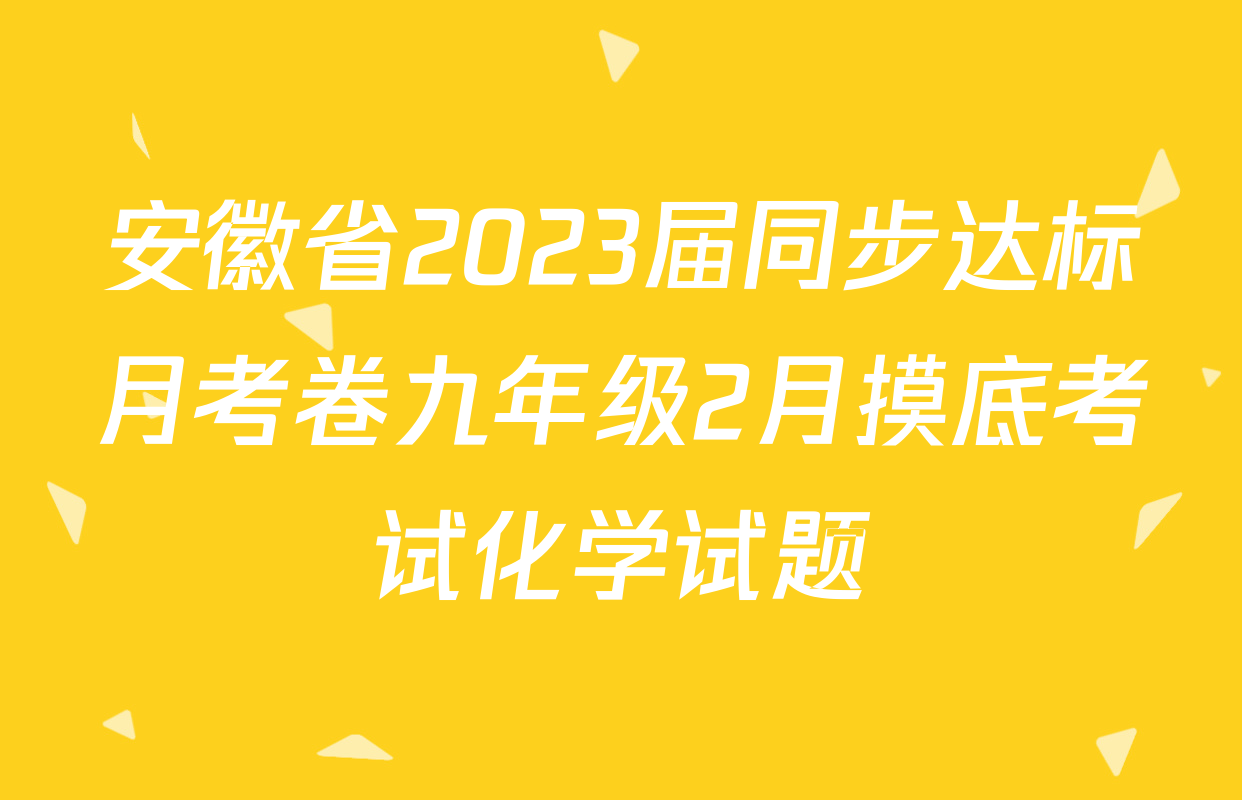 安徽省2023届同步达标月考卷九年级2月摸底考试化学试题