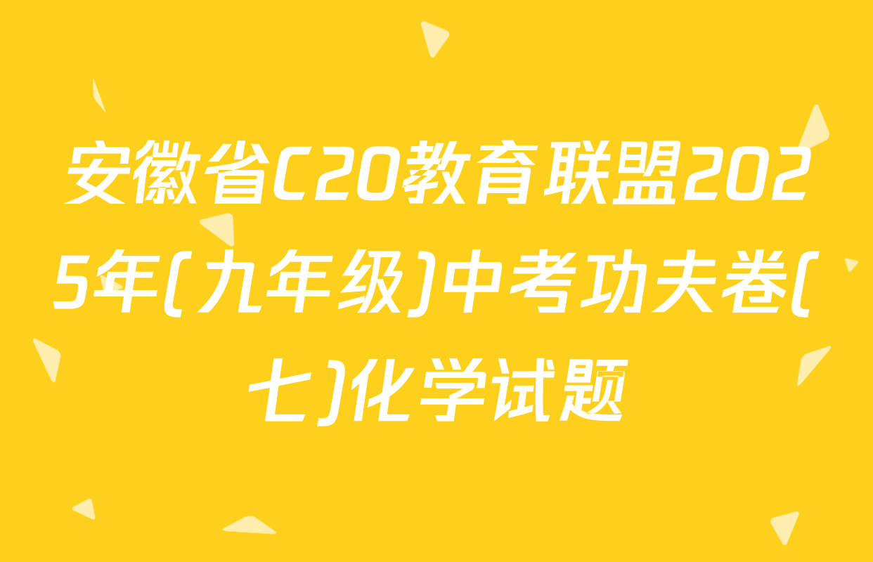 安徽省C20教育联盟2025年(九年级)中考功夫卷(七)化学试题