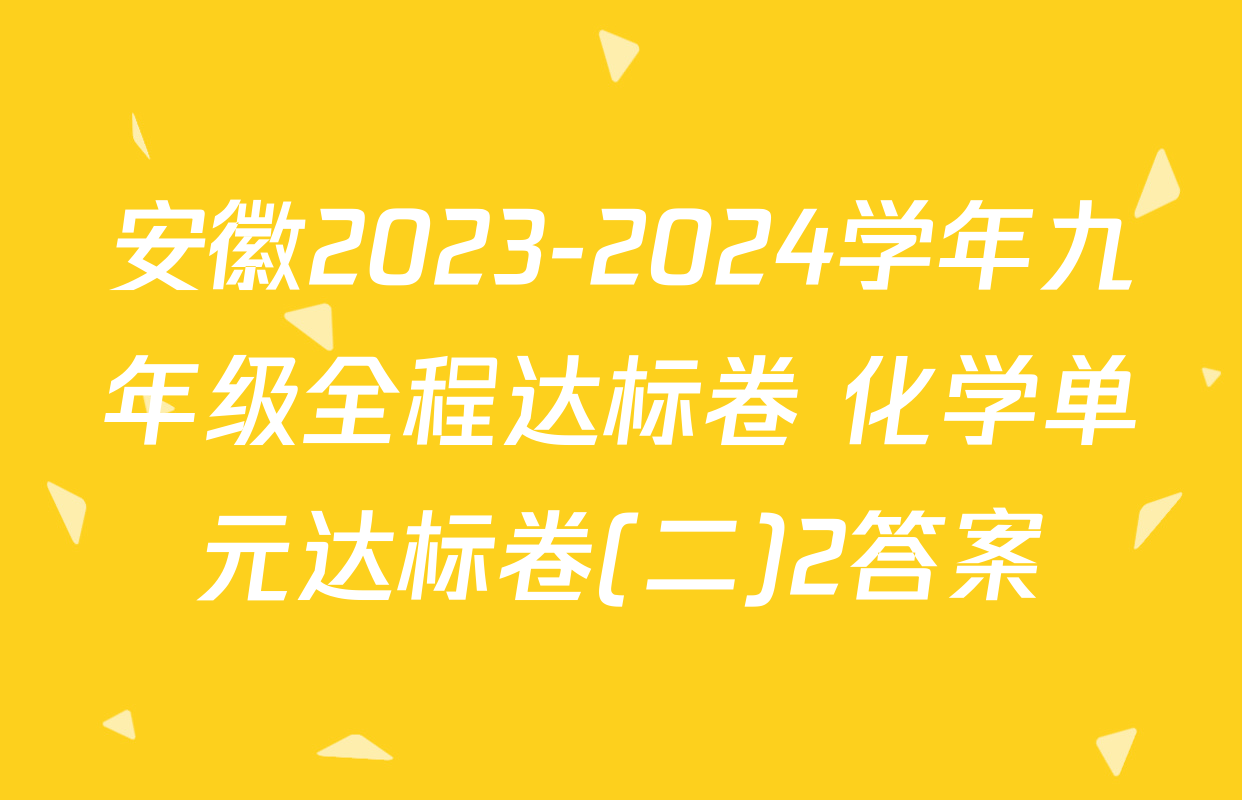 安徽2023-2024学年九年级全程达标卷 化学单元达标卷(二)2答案
