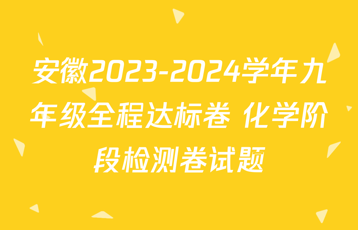 安徽2023-2024学年九年级全程达标卷 化学阶段检测卷试题