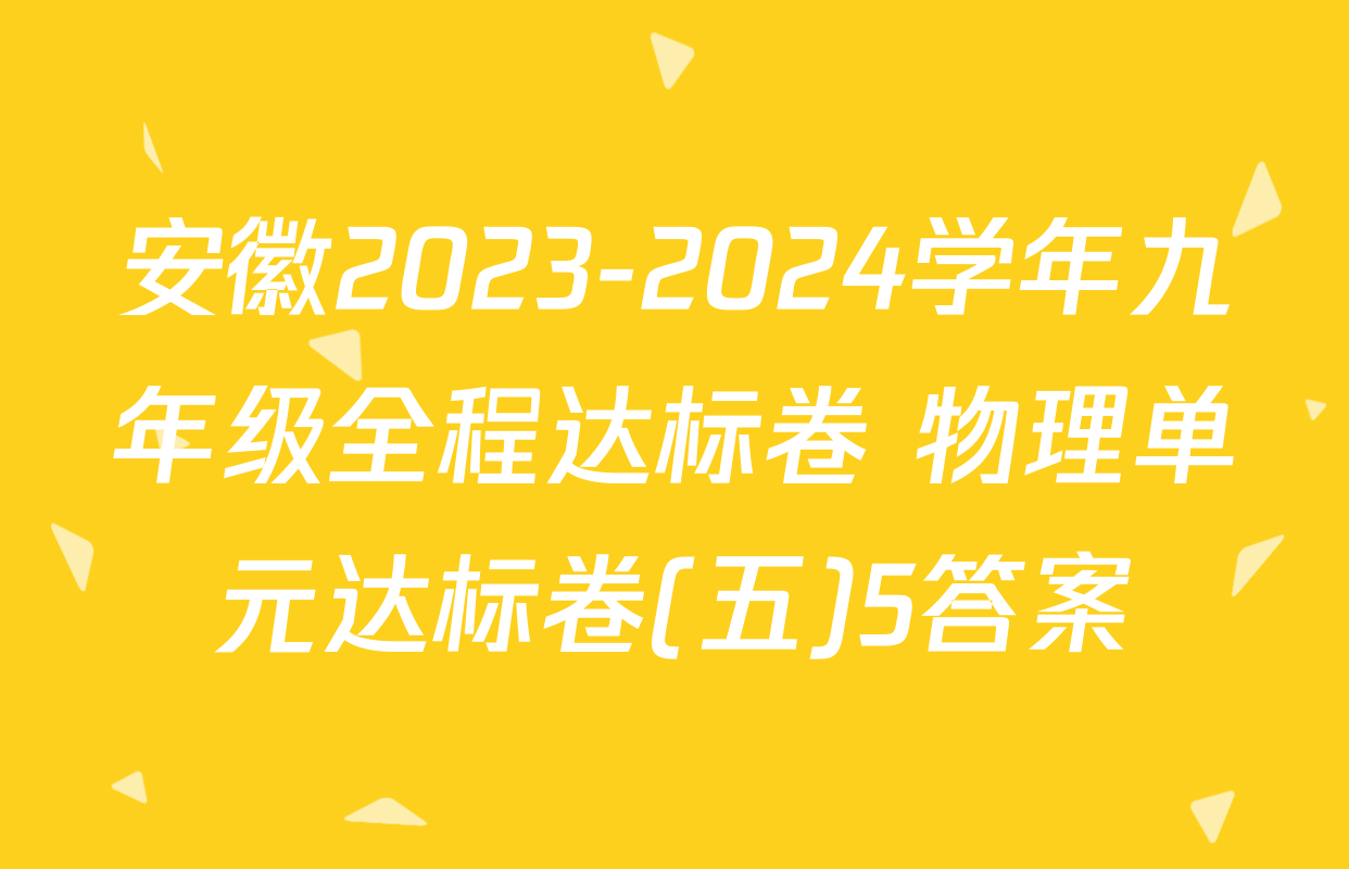 安徽2023-2024学年九年级全程达标卷 物理单元达标卷(五)5答案
