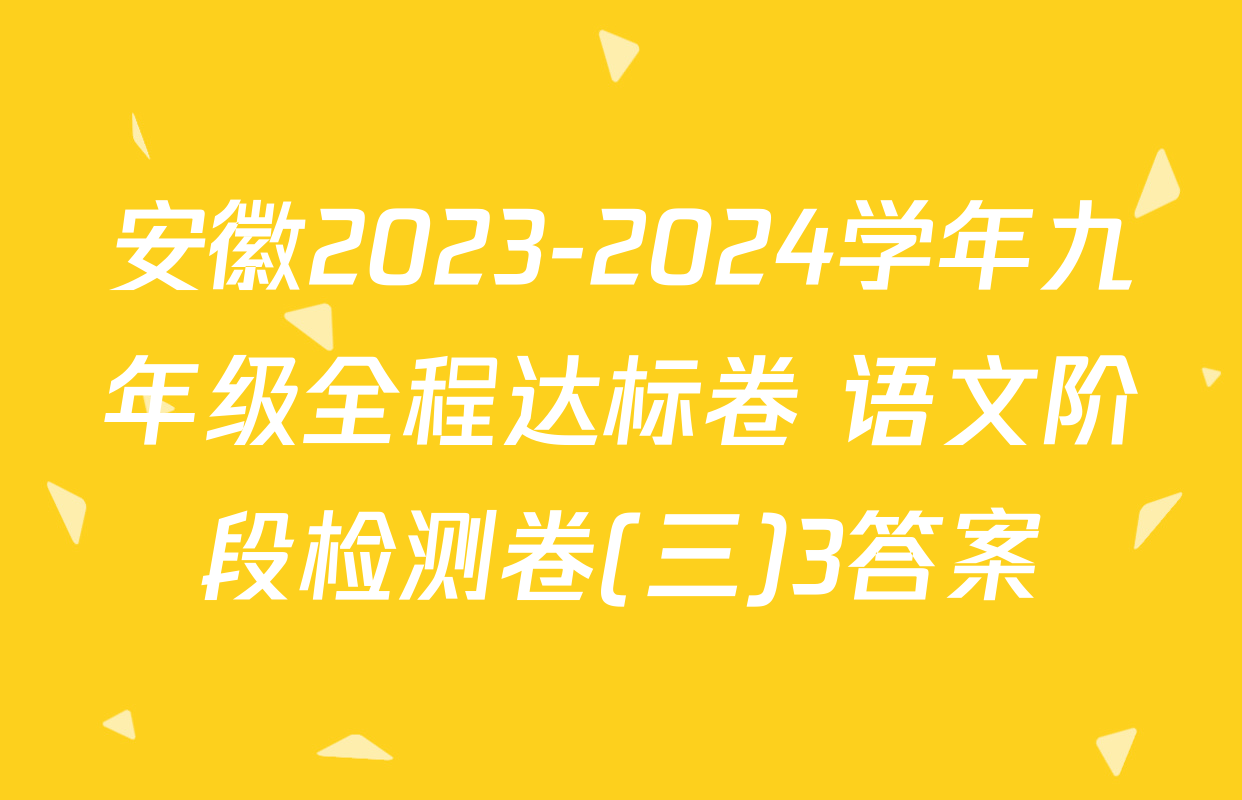 安徽2023-2024学年九年级全程达标卷 语文阶段检测卷(三)3答案