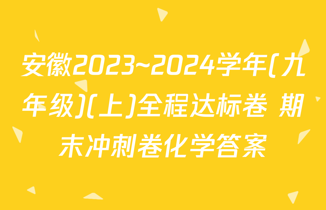 安徽2023~2024学年(九年级)(上)全程达标卷 期末冲刺卷化学答案