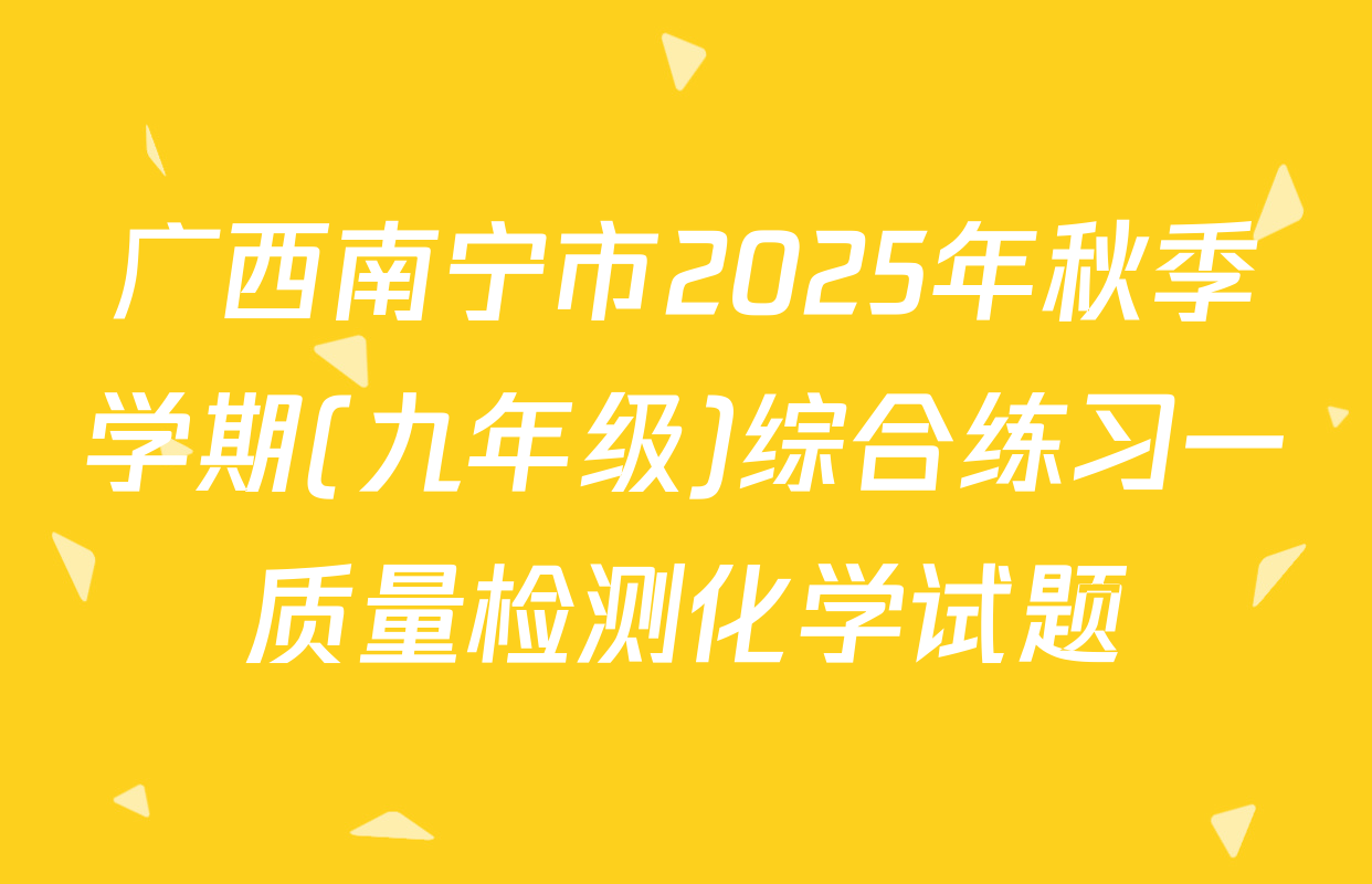 广西南宁市2025年秋季学期(九年级)综合练习一质量检测化学试题
