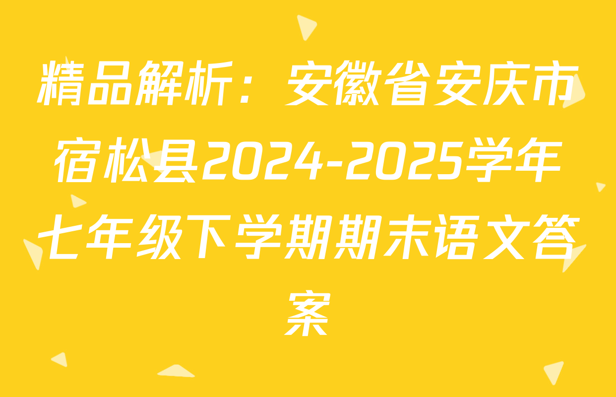 精品解析：安徽省安庆市宿松县2024-2025学年七年级下学期期末语文答案