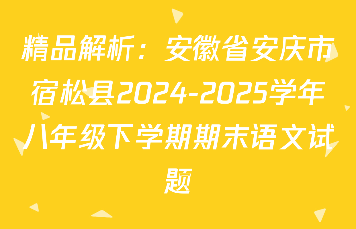 精品解析：安徽省安庆市宿松县2024-2025学年八年级下学期期末语文试题