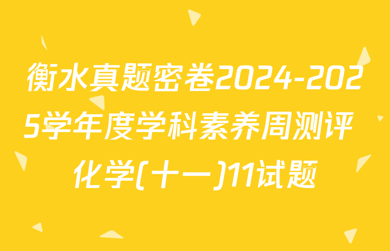 衡水真题密卷2024-2025学年度学科素养周测评 化学(十一)11试题