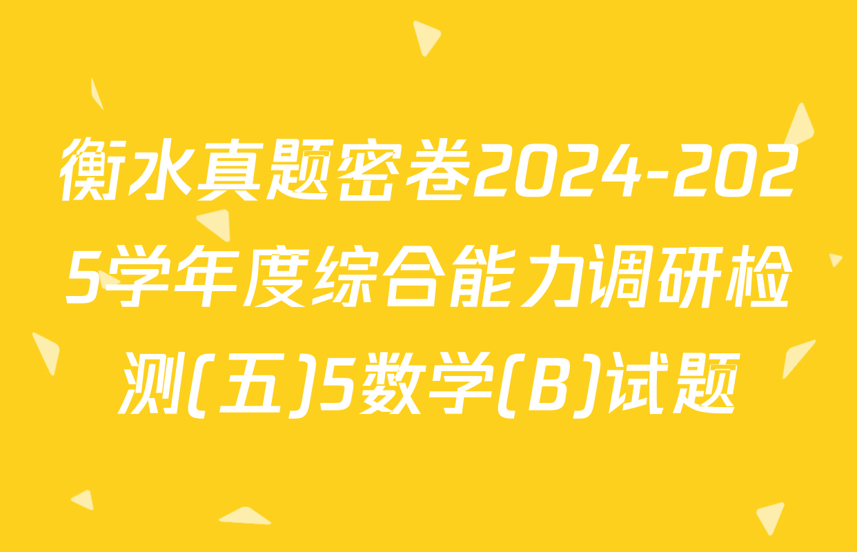 衡水真题密卷2024-2025学年度综合能力调研检测(五)5数学(B)试题